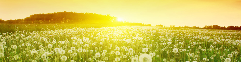 GEM - Psychiatriepraxis Stans